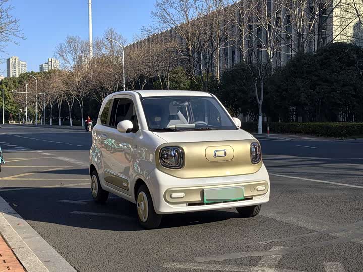 Фото 3 - Bestune Pony