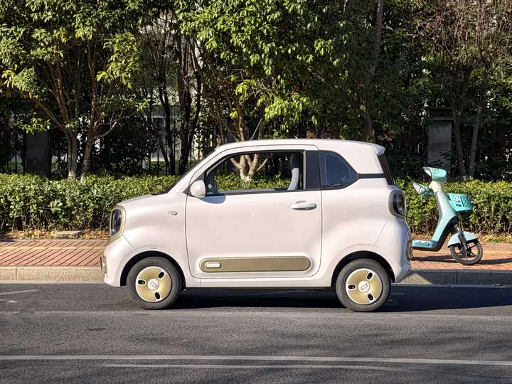 Фото 4 - Bestune Pony