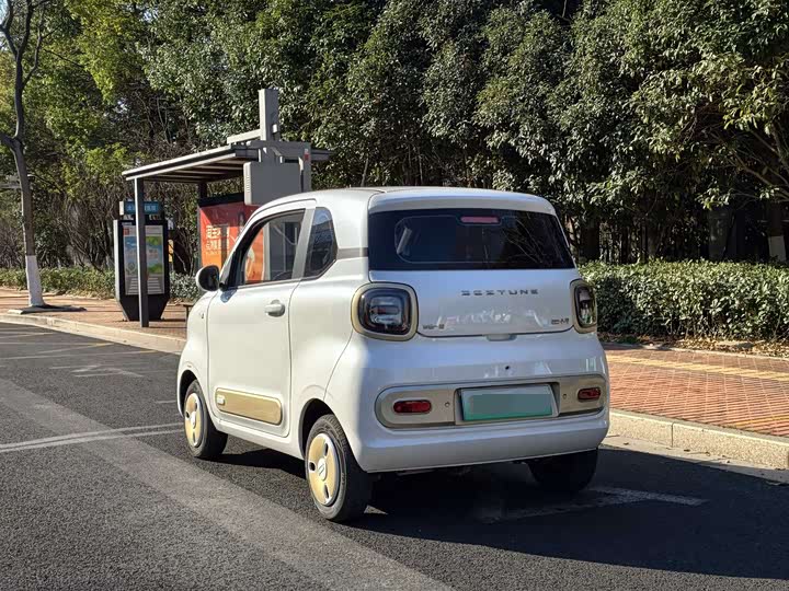 Фото 5 - Bestune Pony