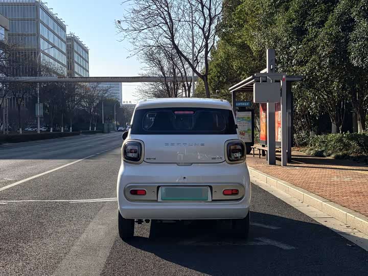 Фото 7 - Bestune Pony