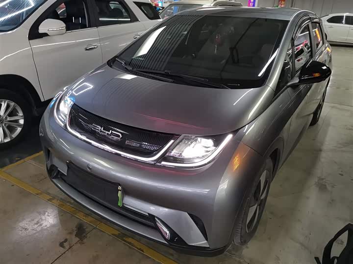 Фото 1 - BYD Dolphin