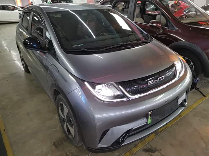 Фото 4 - BYD Dolphin