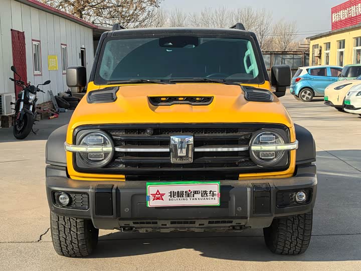 Фото 2 - Tank 300