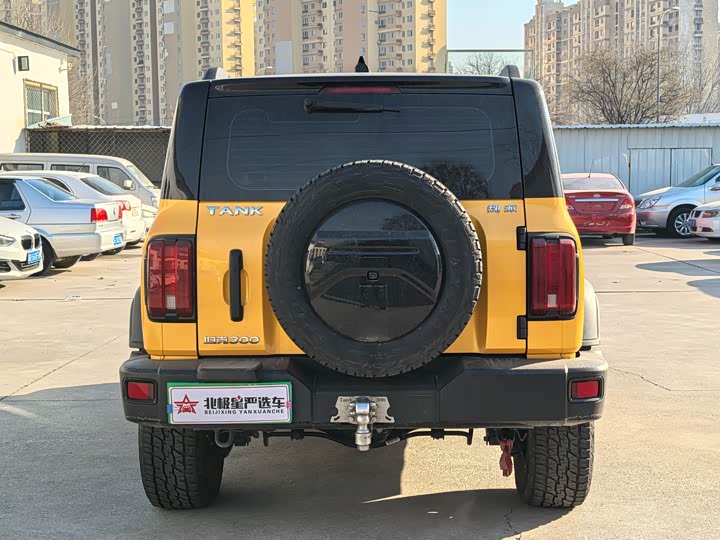 Фото 6 - Tank 300