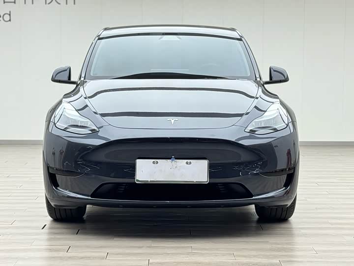 Фото 2 - Tesla Model Y