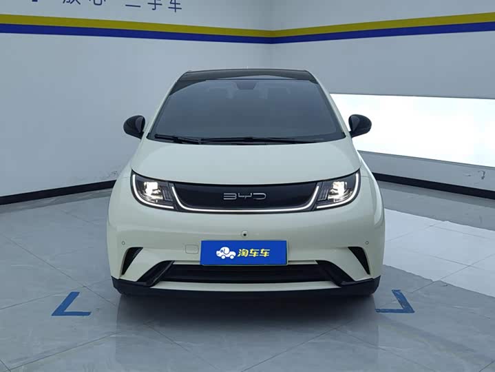 Фото 2 - BYD Dolphin