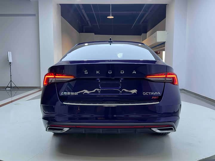 Фото 5 - Skoda Octavia Pro