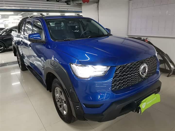 Фото 4 - Great Wall Pao