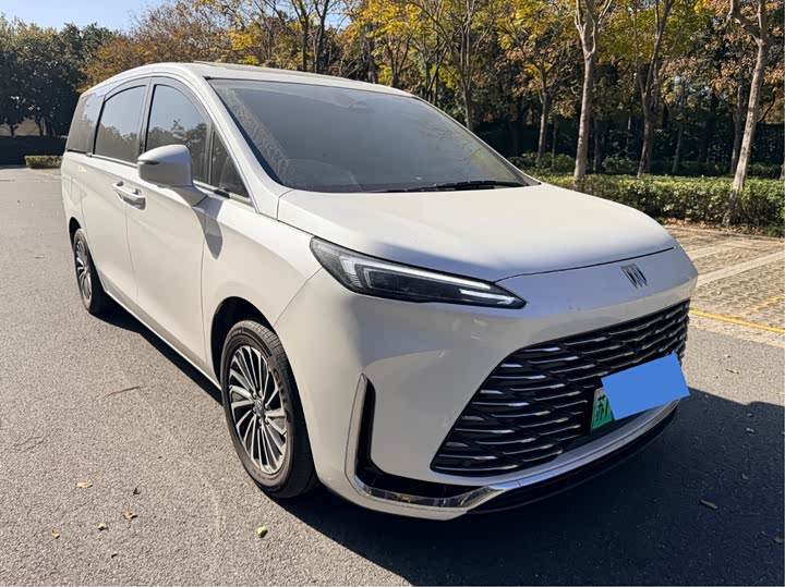 Фото 4 - Buick GL8 Hybrid