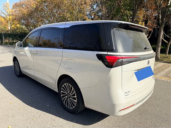 Фото 5 - Buick GL8 Hybrid