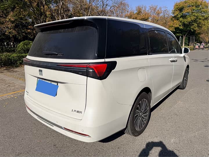 Фото 6 - Buick GL8 Hybrid