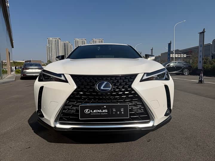 Фото 2 - Lexus UX