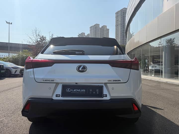 Фото 7 - Lexus UX
