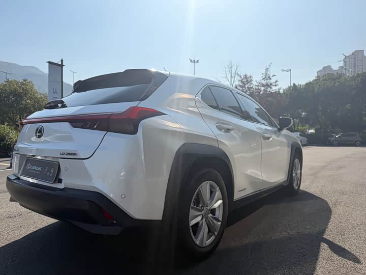 Фото 8 - Lexus UX