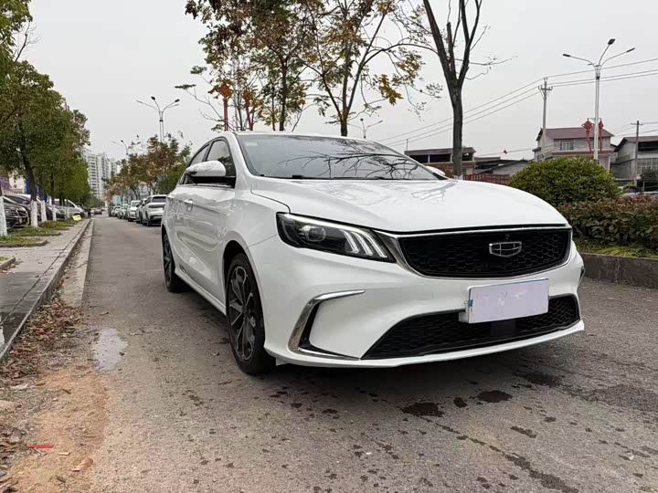 Фото 3 - Geely Binrui