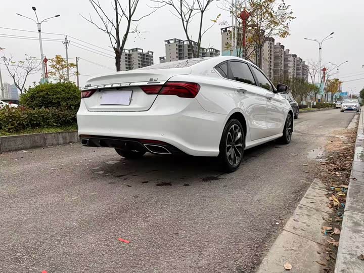 Фото 6 - Geely Binrui