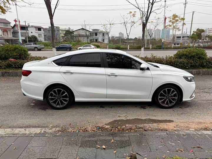 Фото 8 - Geely Binrui