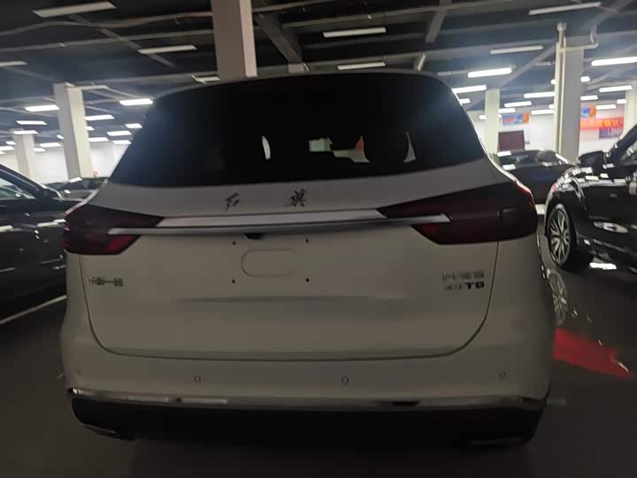 Фото 6 - Hongqi HS5