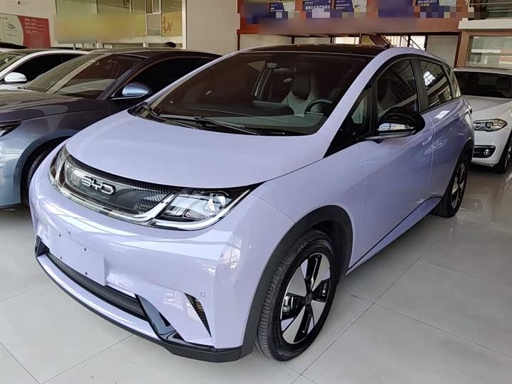 Фото 1 - BYD Dolphin