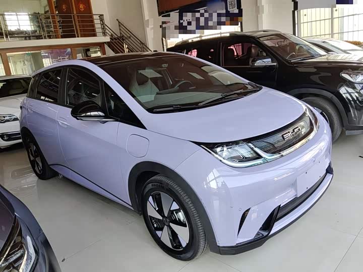 Фото 4 - BYD Dolphin