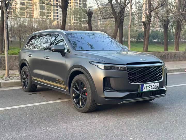 Фото 3 - LiXiang One