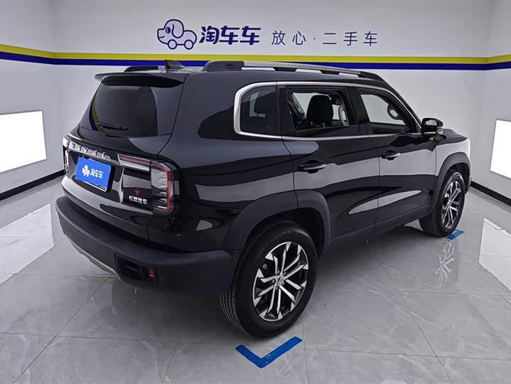 Фото 3 - Haval Dargo