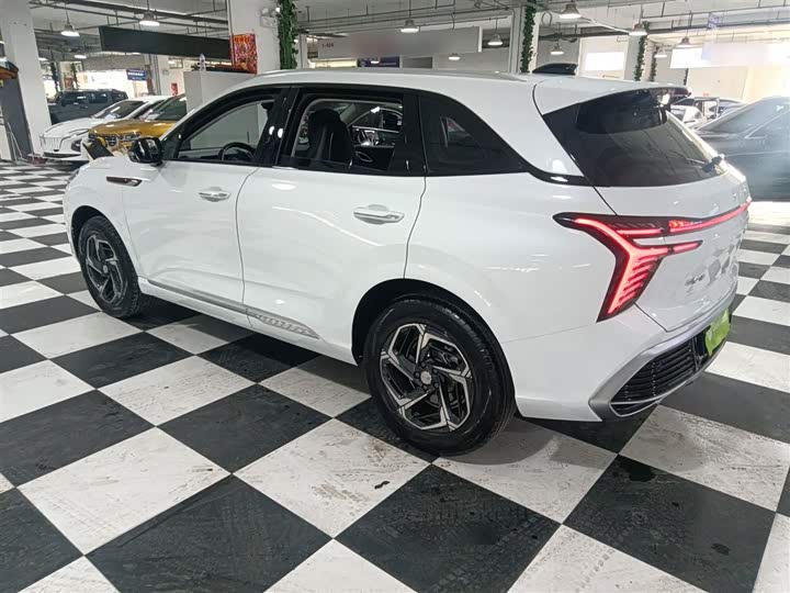 Фото 5 - Hongqi HS3