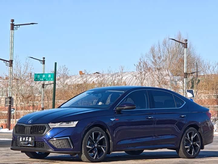 Фото 1 - Skoda Octavia Pro