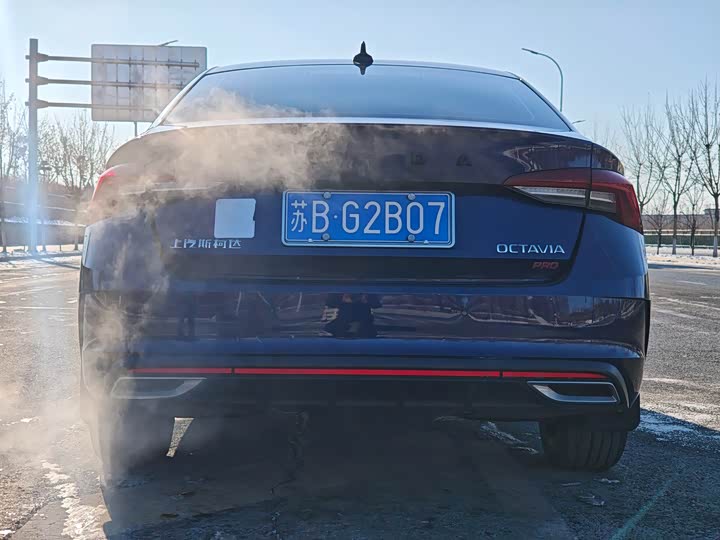 Фото 5 - Skoda Octavia Pro