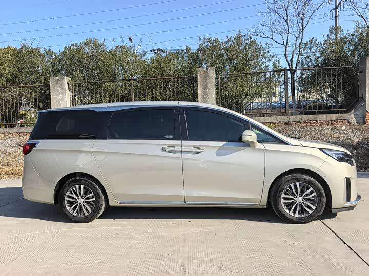 Фото 4 - Buick GL8 ES