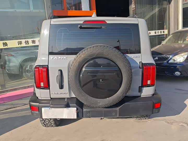 Фото 4 - Tank 300