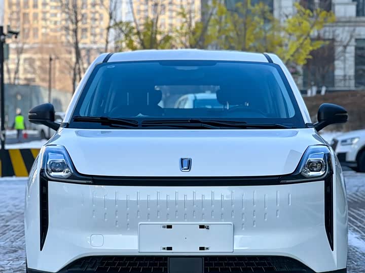 Фото 2 - Bestune NAT