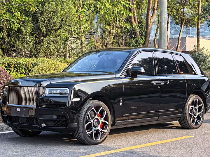 Фото 4 - Rolls-Royce Cullinan