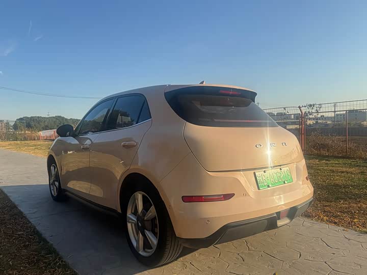 Фото 3 - Ora Good Cat (03)