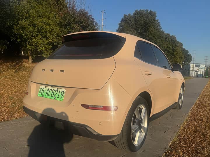 Фото 4 - Ora Good Cat (03)