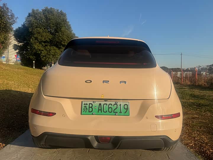 Фото 5 - Ora Good Cat (03)