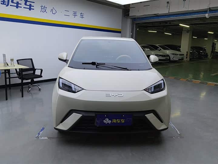 Фото 2 - BYD Seagull