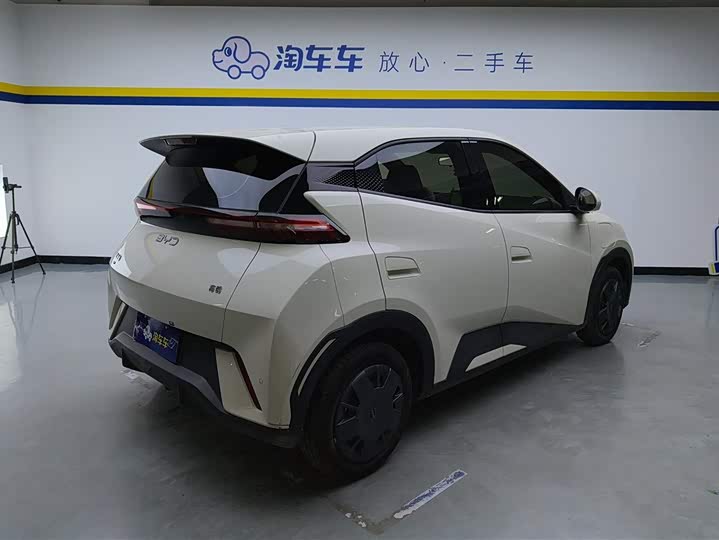 Фото 3 - BYD Seagull