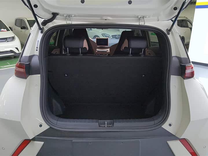 Фото 4 - BYD Seagull