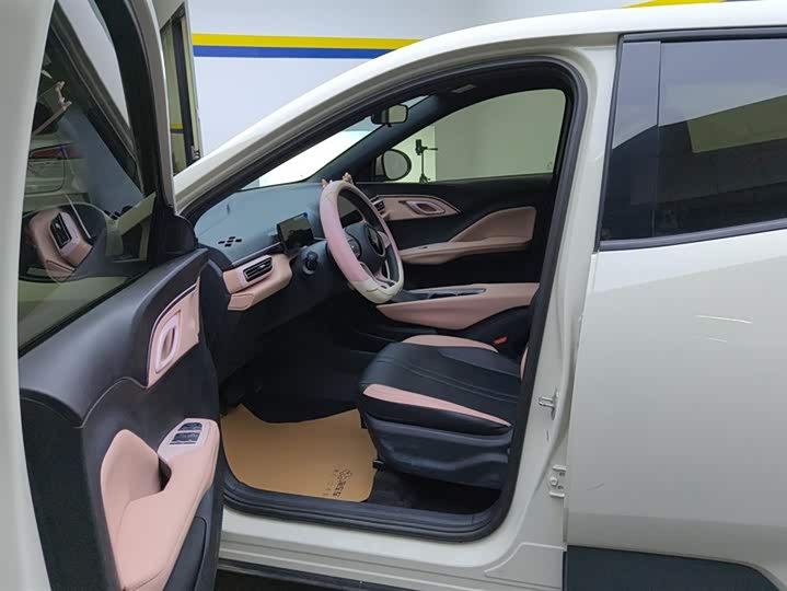 Фото 9 - BYD Seagull