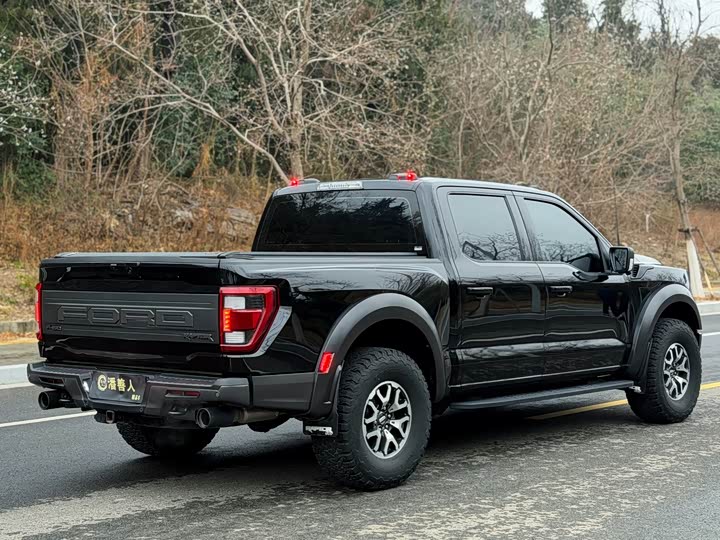 Фото 7 - Ford F-150 Raptor