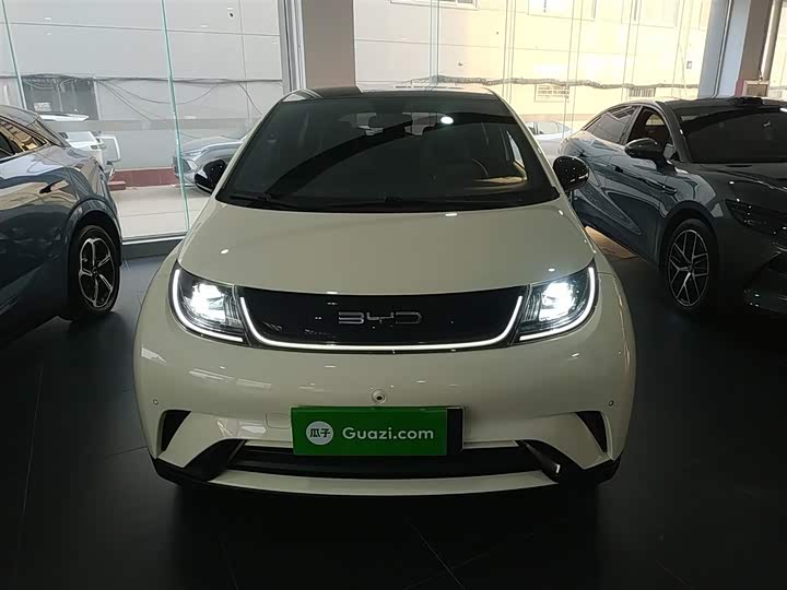 Фото 3 - BYD Dolphin