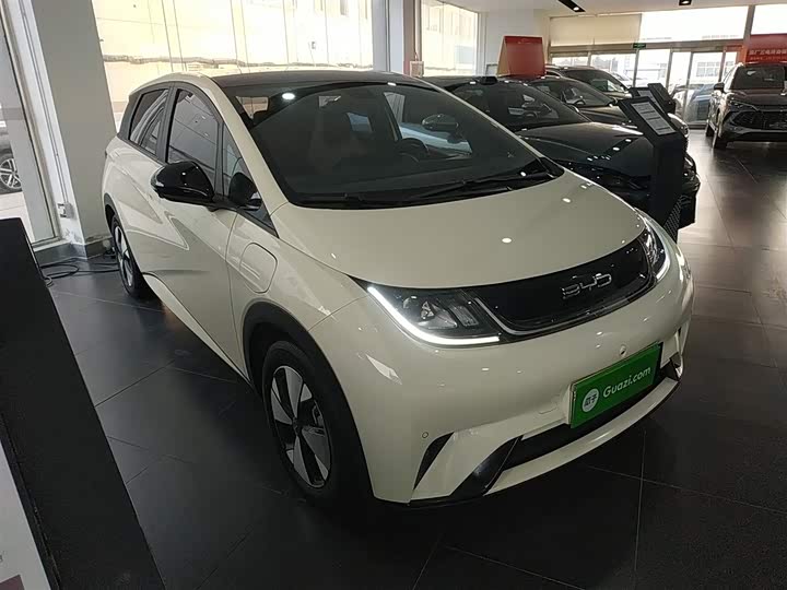 Фото 4 - BYD Dolphin