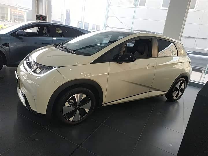 Фото 5 - BYD Dolphin