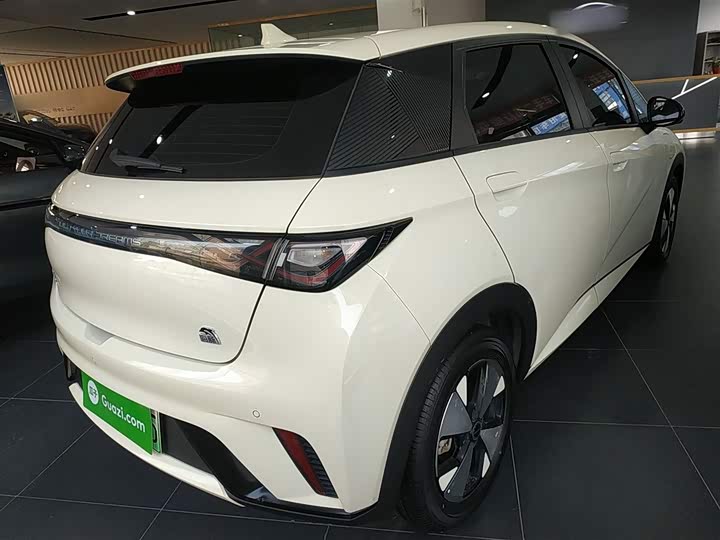 Фото 7 - BYD Dolphin