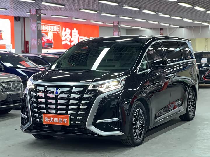 Фото 1 - Denza D9