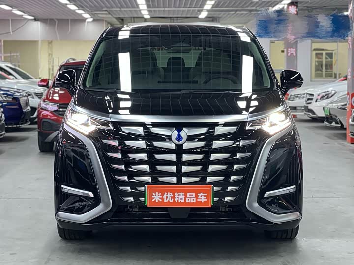 Фото 2 - Denza D9