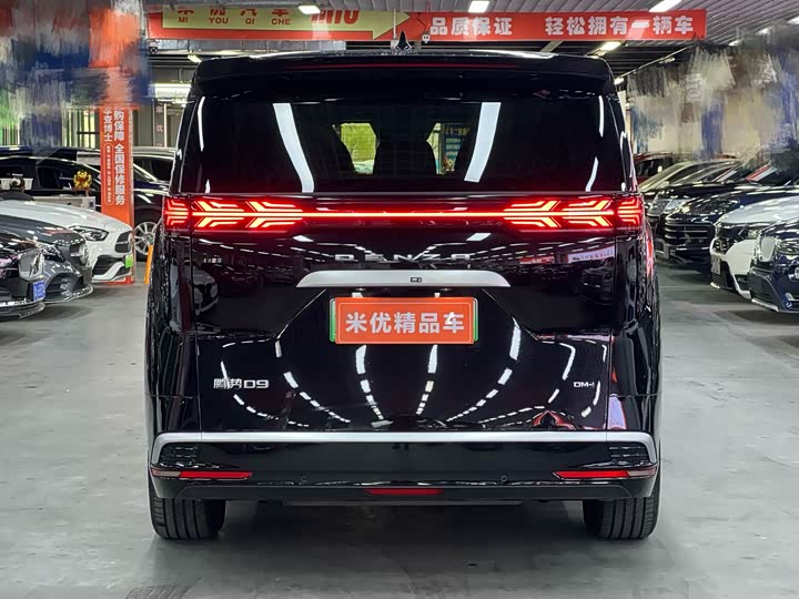 Фото 3 - Denza D9