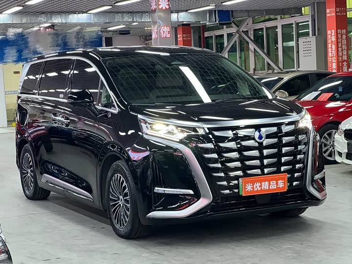 Фото 4 - Denza D9