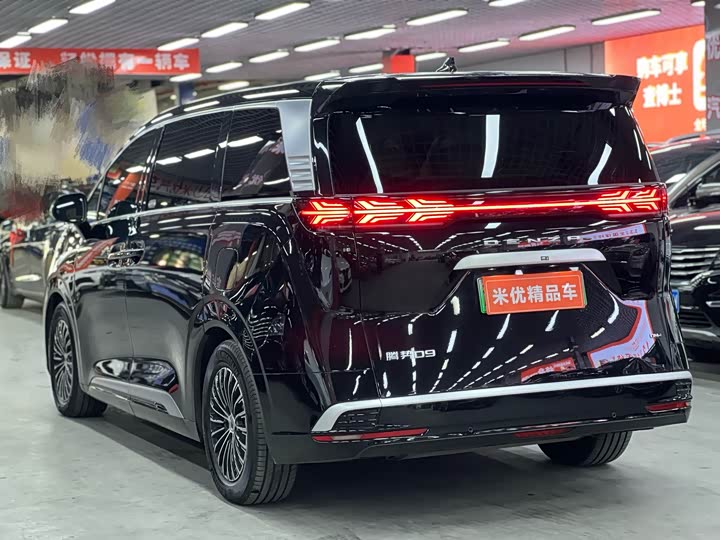 Фото 6 - Denza D9